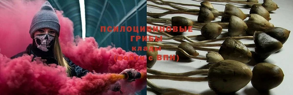 ГАЛЛЮЦИНОГЕННЫЕ ГРИБЫ Алзамай