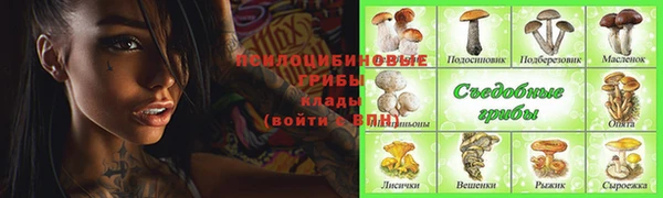 ГАЛЛЮЦИНОГЕННЫЕ ГРИБЫ Алзамай