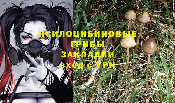 ГАЛЛЮЦИНОГЕННЫЕ ГРИБЫ Алзамай