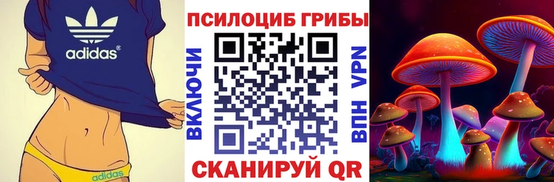 Галлюциногенные грибы мухоморы  купить  сайты  Красноуфимск 